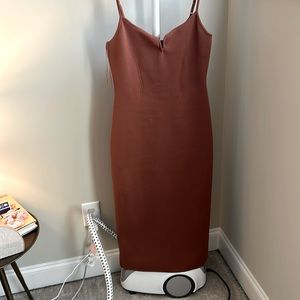 Express Auburn Body Contour Dress